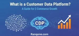 Customer Data Platform (CDP)