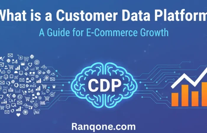 Customer Data Platform (CDP)